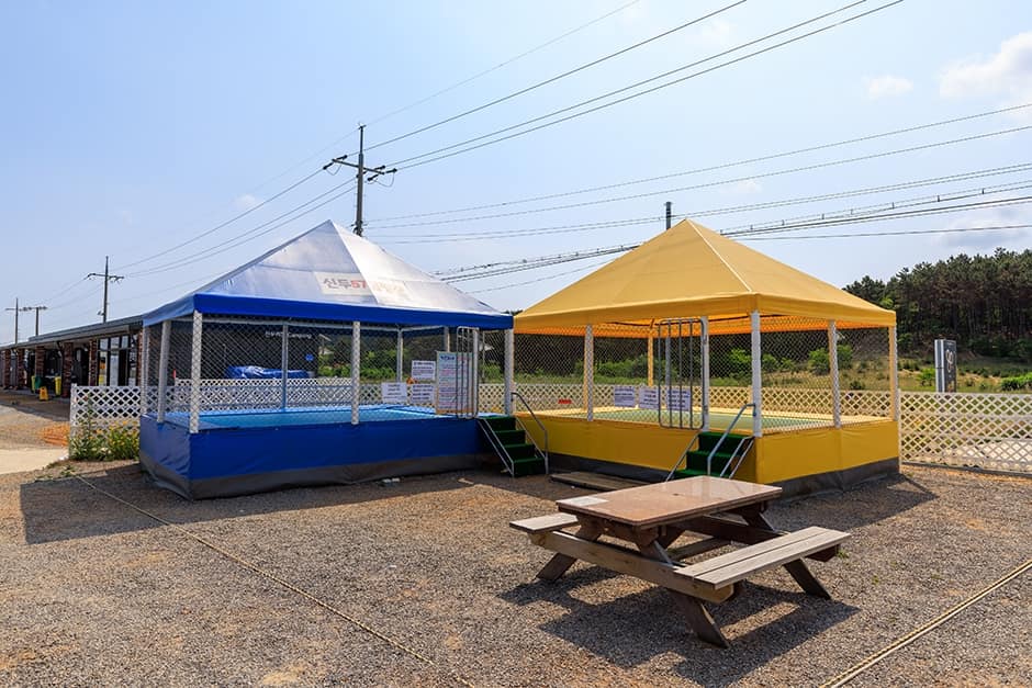 충남_태안군_신두57캠핑장_시설_트렘펄린