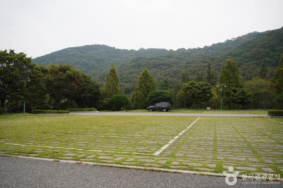 금오산야영장 (16)