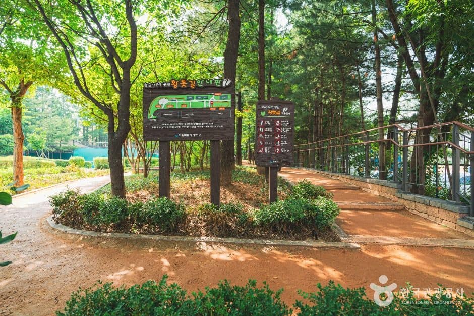 서울_황금내근린공원 (5)