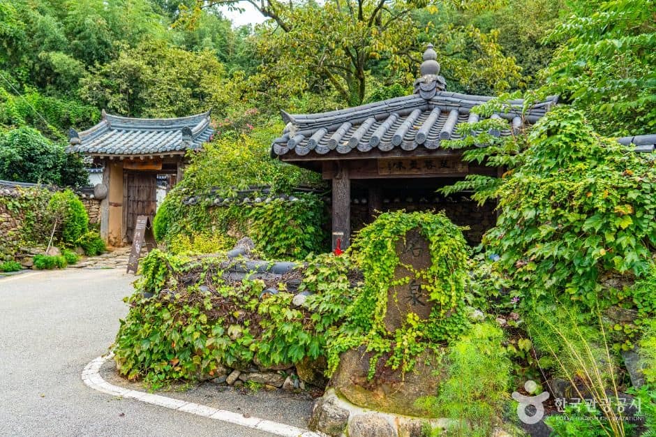 구례_당몰샘 (1)
