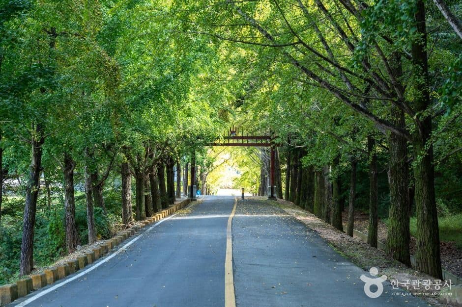 진천_진천 길상사 (6)