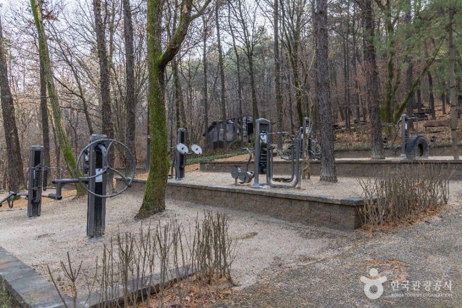서울_대모산도시자연공원 (9)