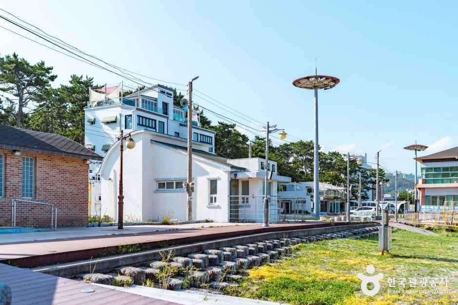 경주_전촌솔밭해변 (5).jpg