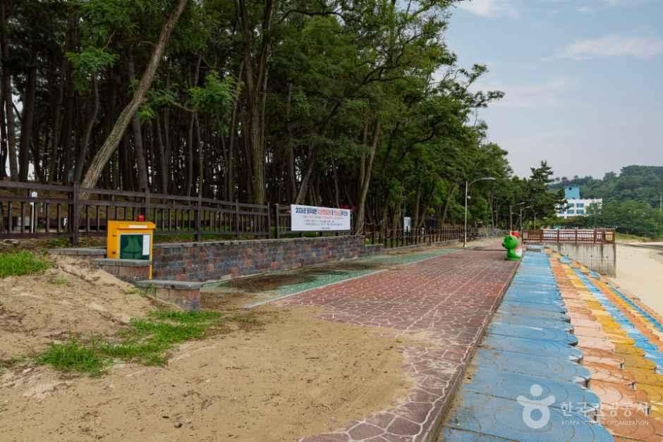 보령_용두해수욕장숲속야영장 (8).jpg