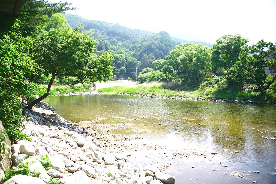 브라보캠핑장_주변물가