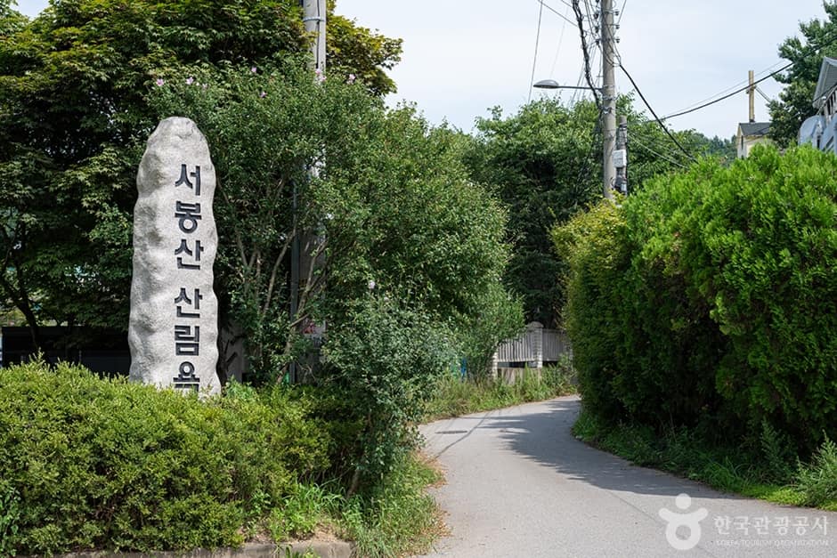 서봉산산림욕장 (1)
