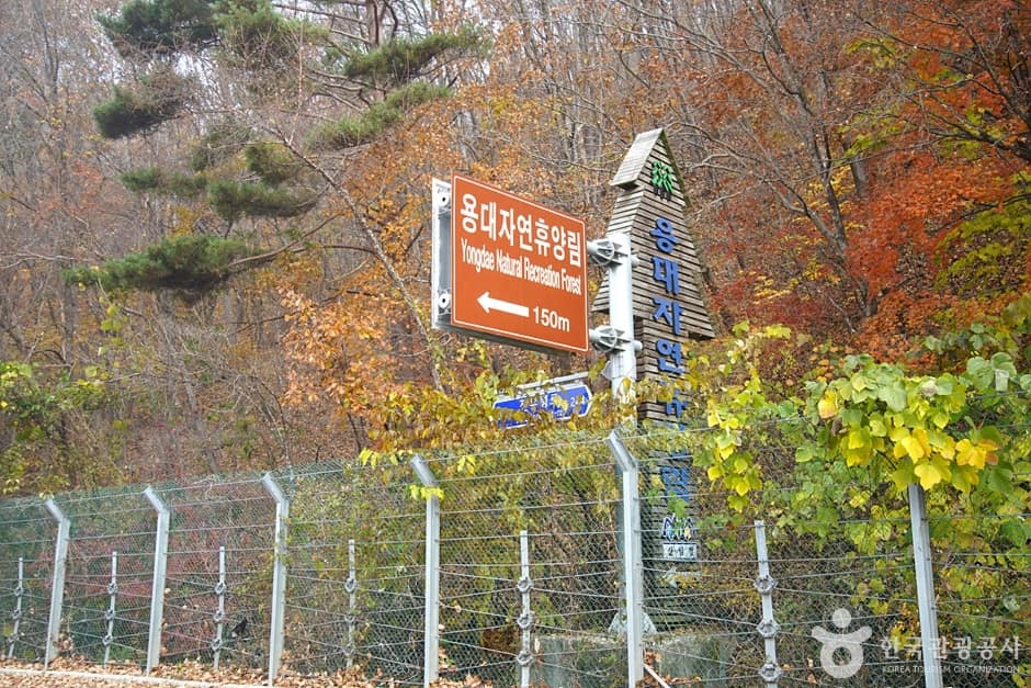 국립 용대자연휴양림 (2)