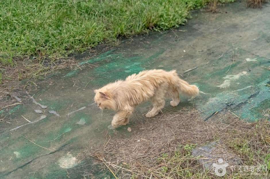 애니멀스토리11