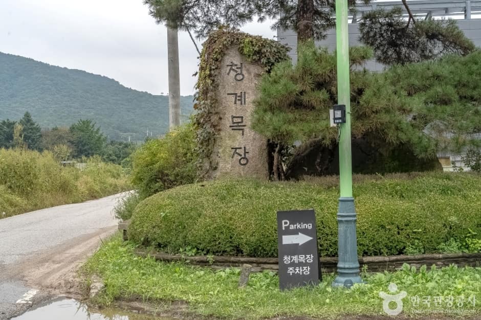 청계목장 (1)