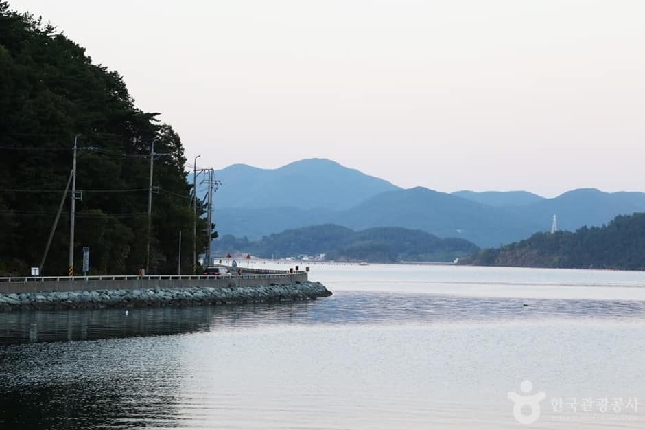 동해 해안길 (5)