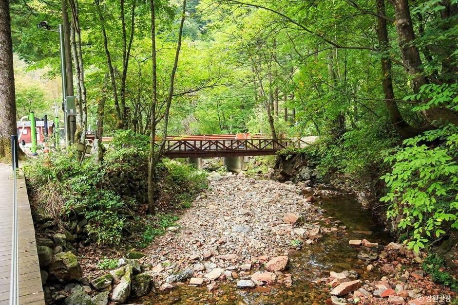 홍천_국립 삼봉자연휴양림 (2)