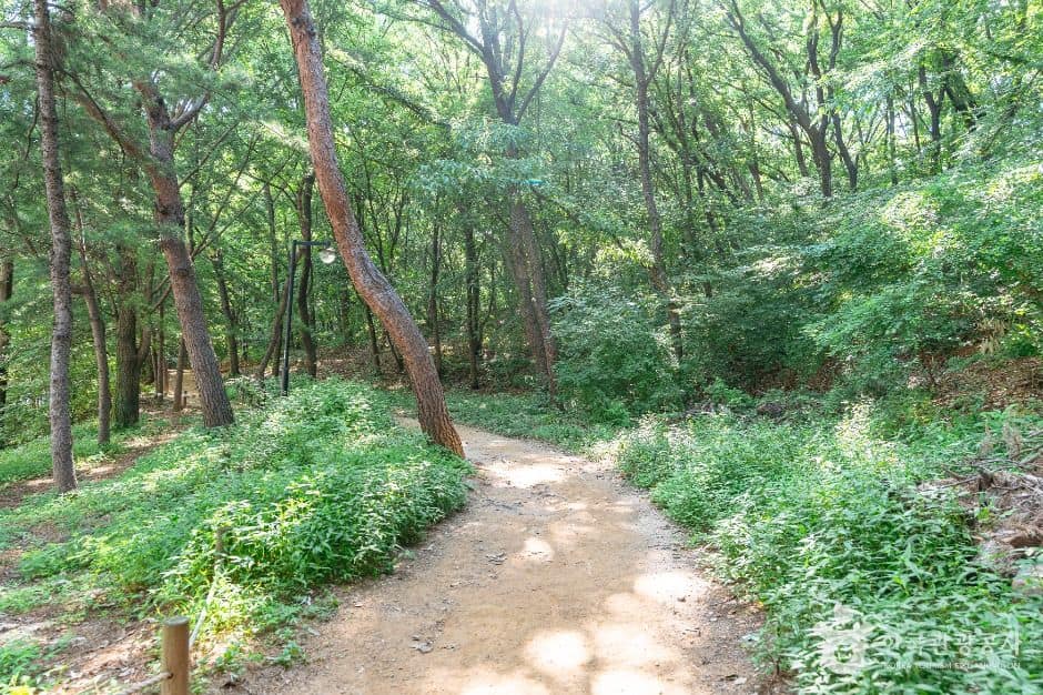 고양_정발산공원 (4)