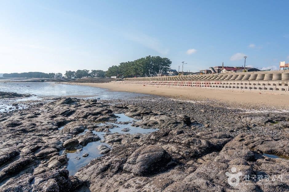 서천_비인해변 (2)