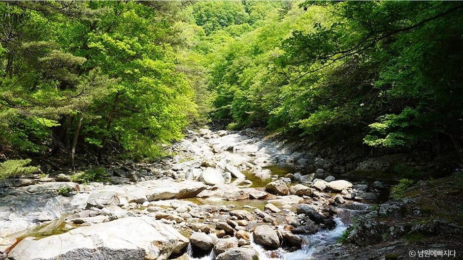 남원_뱀사골계곡 (6)
