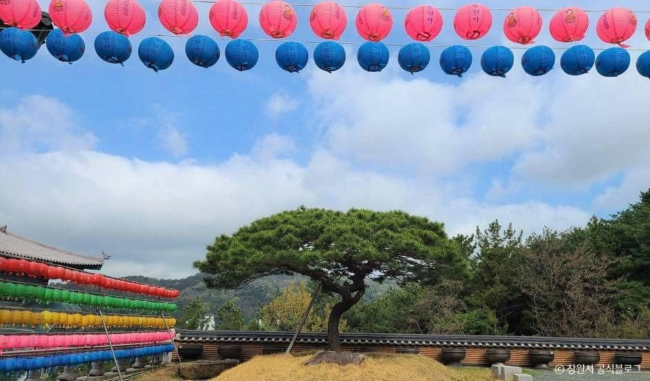 창원_봉림사(창원) (6)