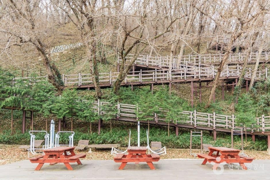 포항_도음산산림문화수련장 (7)