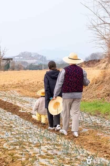 경기_평택_로렌츠감성치유시골체험_체험_2.jpg