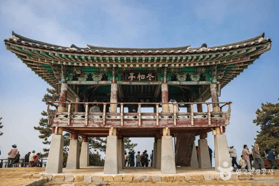 충남_서천_서천 마량리 동백나무숲_외부_6.png