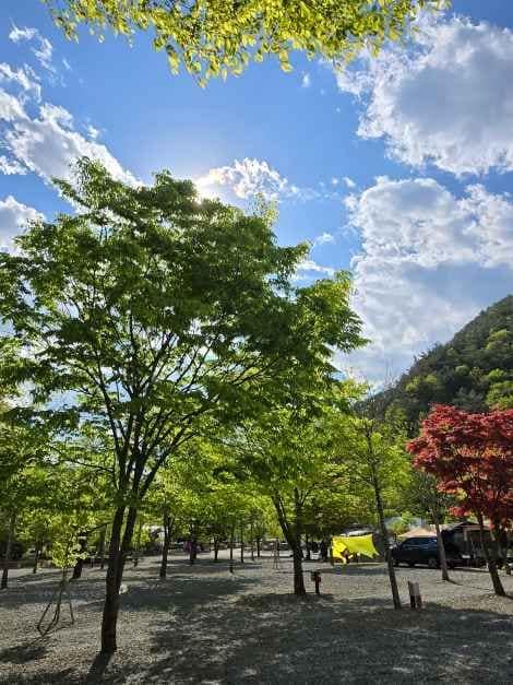 영월_두산분교 캠핑장 (6).jpeg