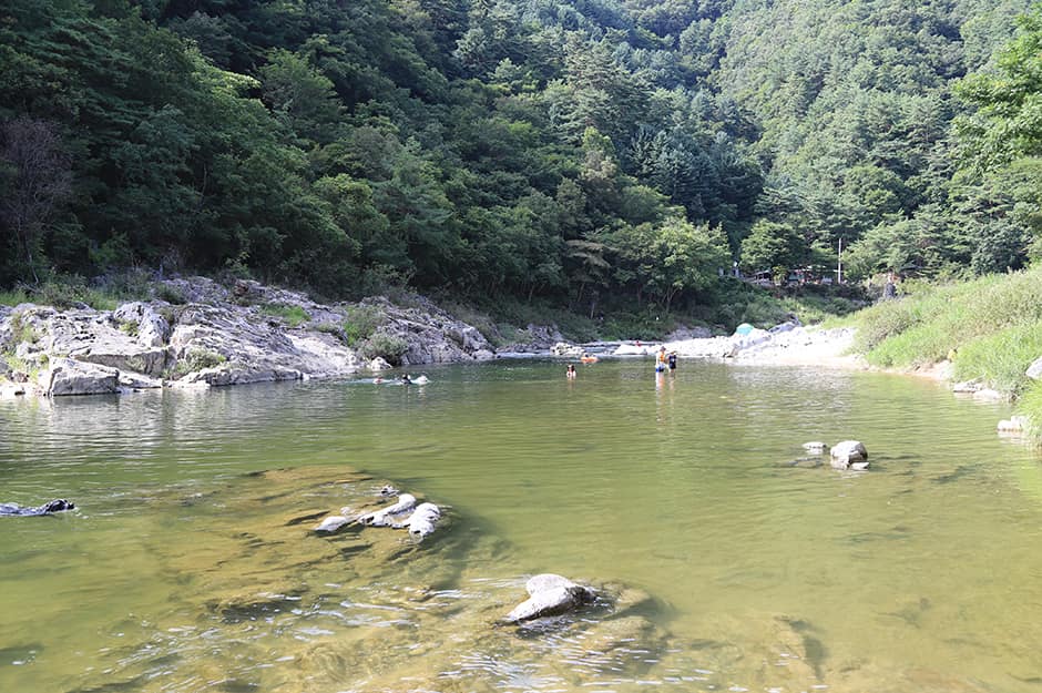 강원도_인제군_미산분교 캠핑장_계곡