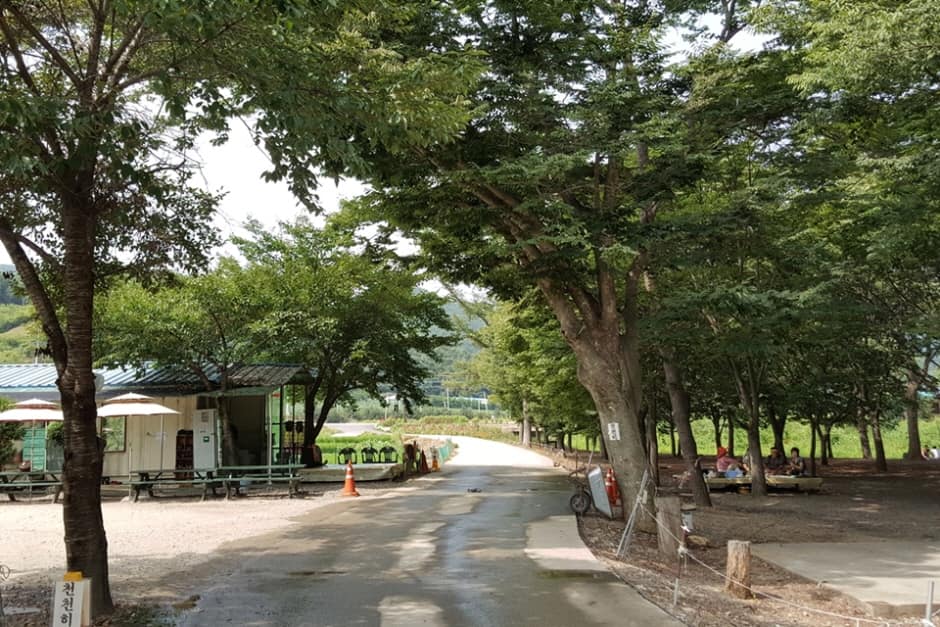 충북_청주_대덕숲유원지_풍경2