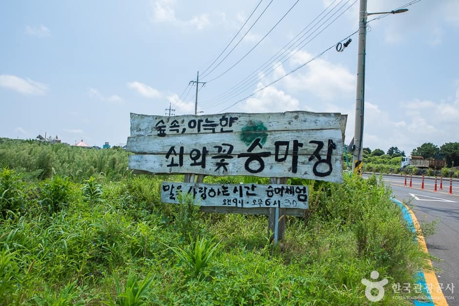쇠와꽃승마장 (1)