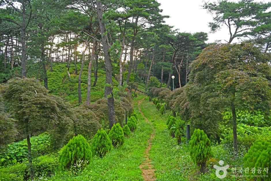 조산공원 (4)