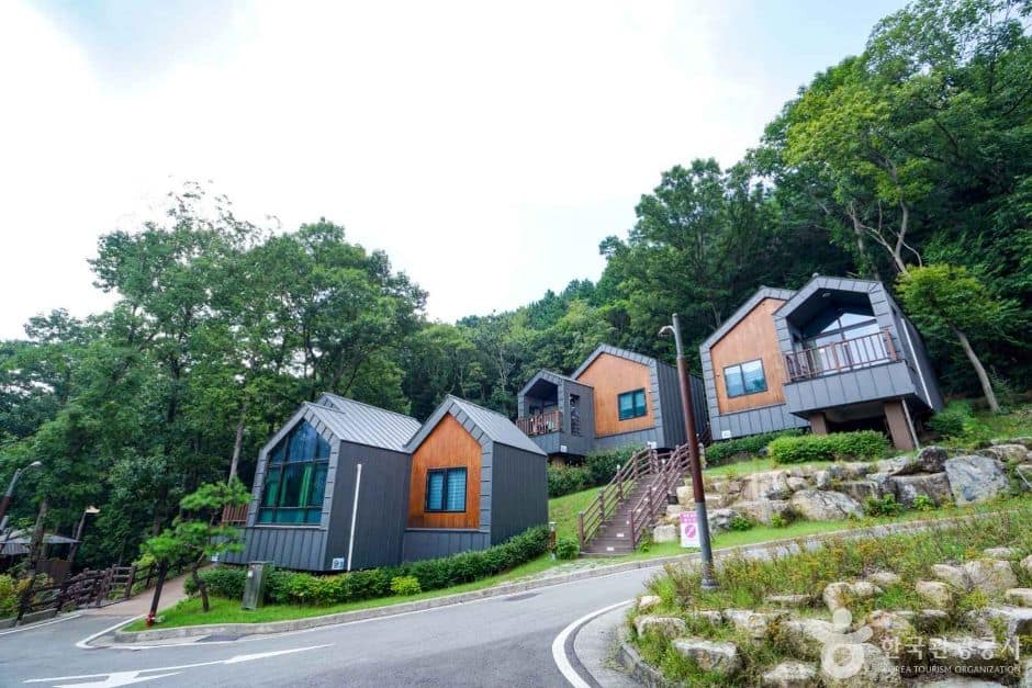 국립 용지봉 자연휴양림 (2)