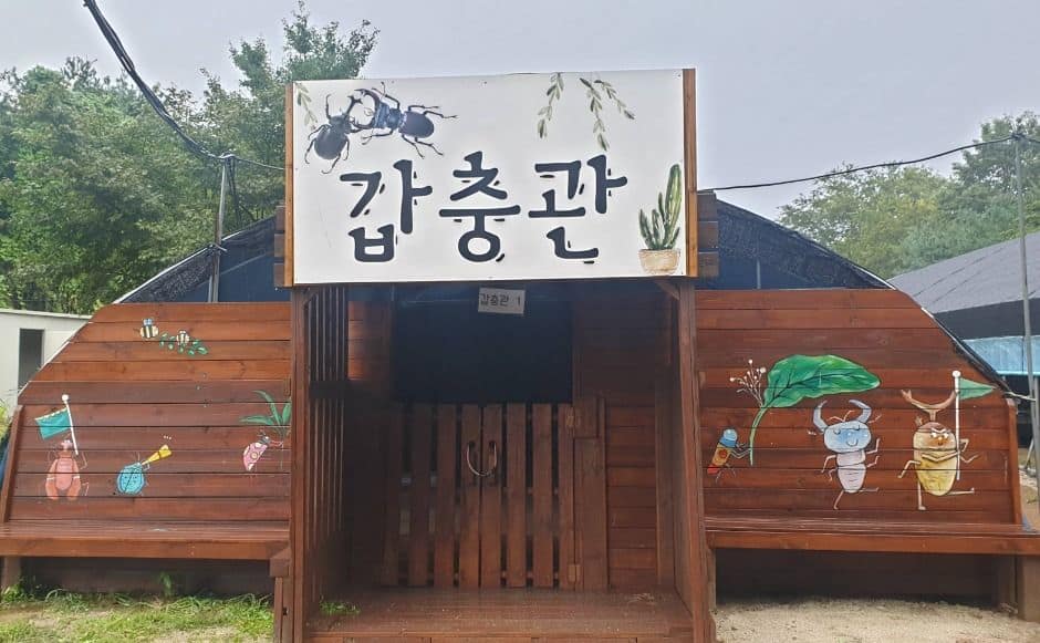 양평_두물머리생태학교 (1)