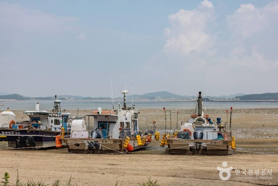 무안_홀통유원지·홀통해변 (1)