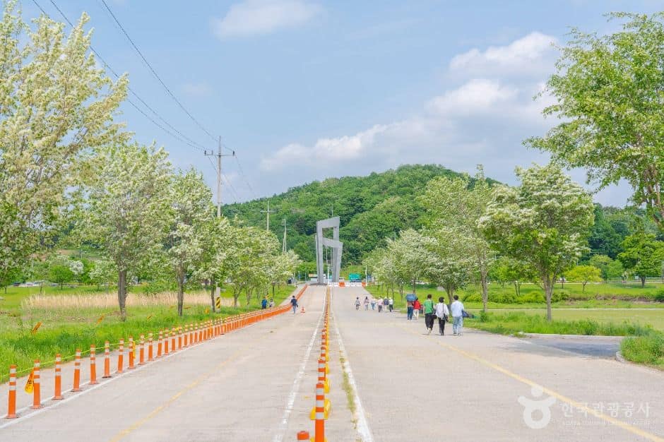 여주_당남리섬 (1)