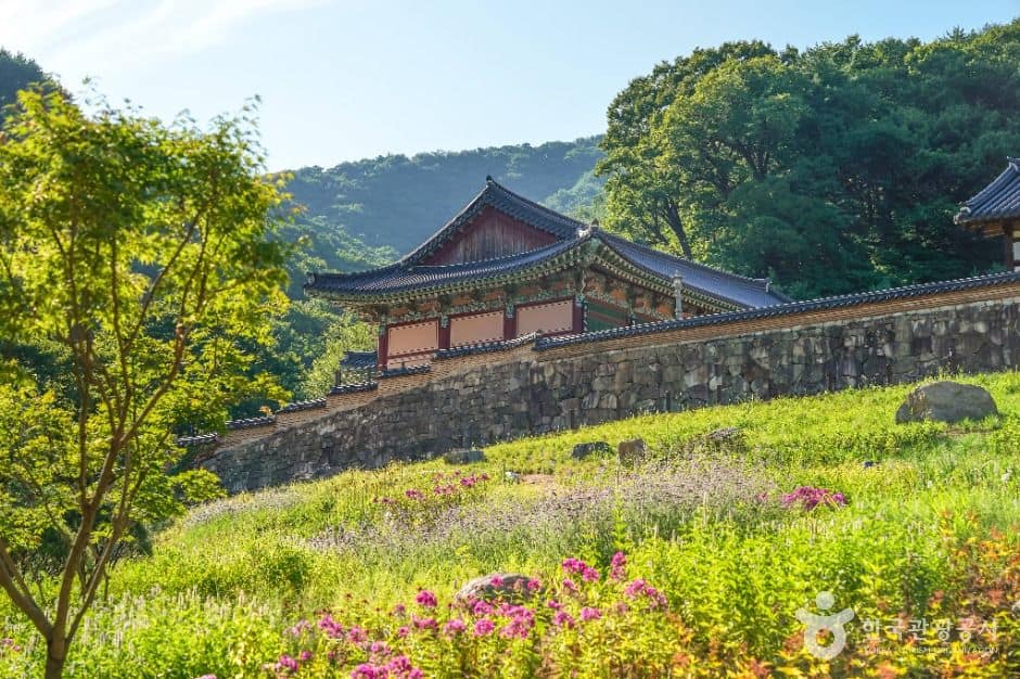 예천_용문사(예천) (1)