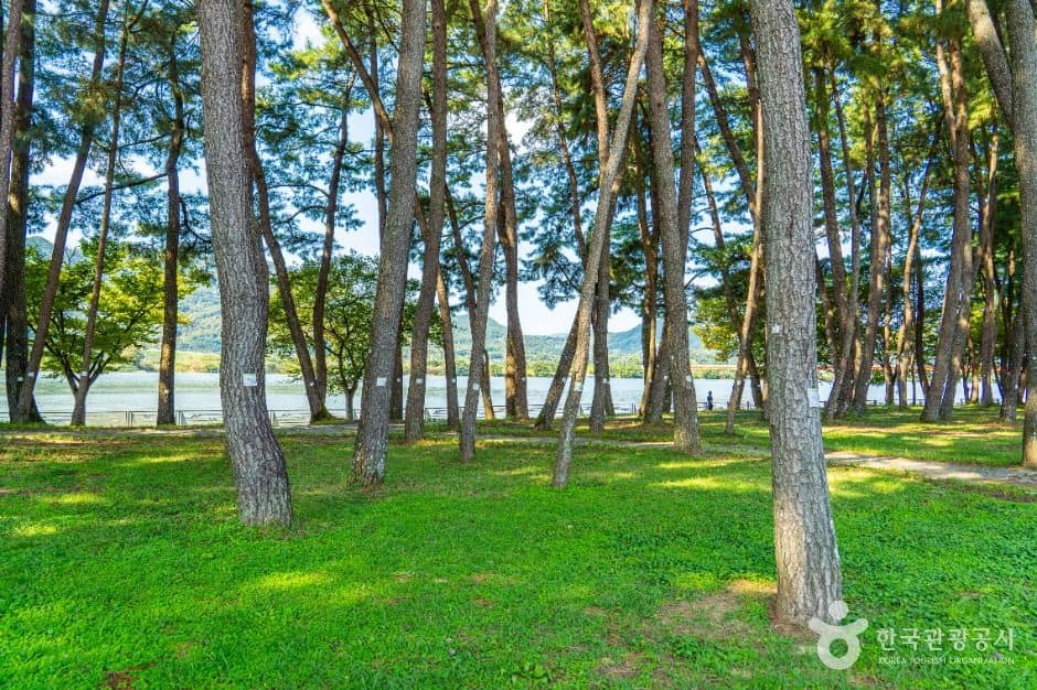 하동_하동목도공원 (9)