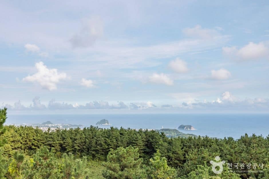 제주_[제주올레 7-1코스] 서귀포 버스터미널 - 제주올레 여행자센터 올레 (8)