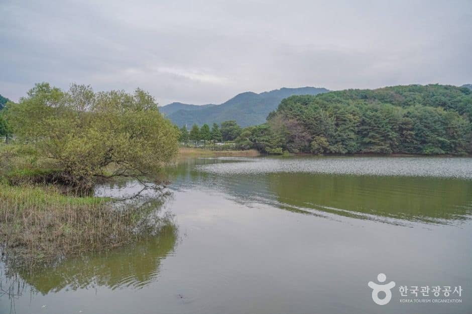 부산_회동수원지 둘레길 (5)