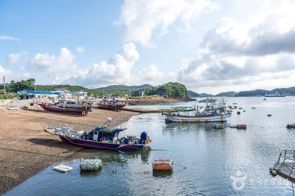 보령_회변항 (4)