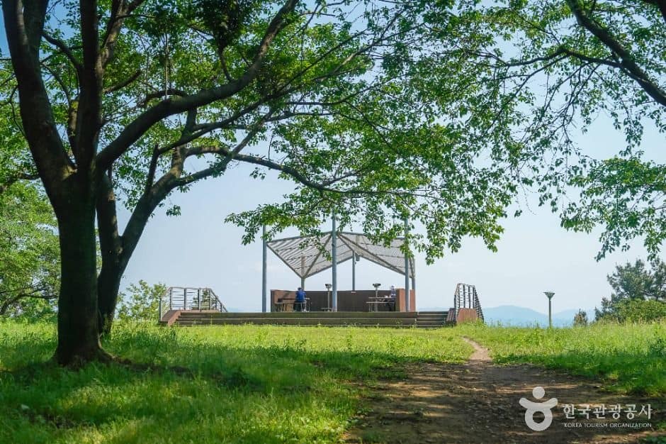창원_안민고개 (7)