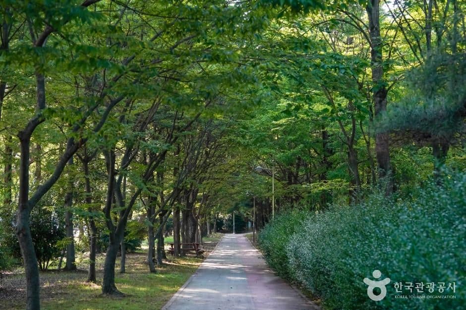 창원_올림픽공원(창원) (5)
