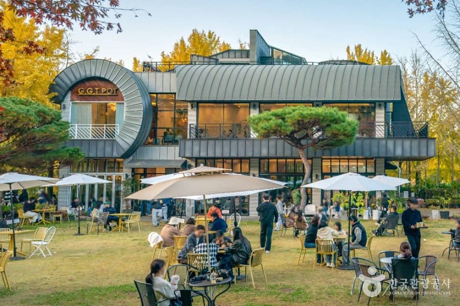 나주_나주은행나무수목원 (7)