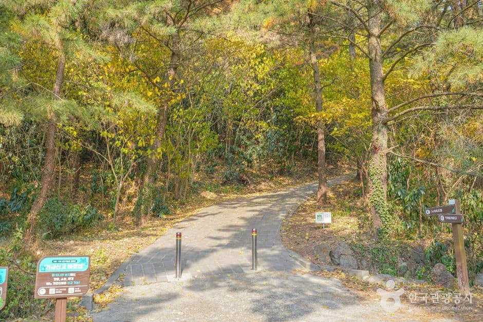 제주_느지리오름 (1)