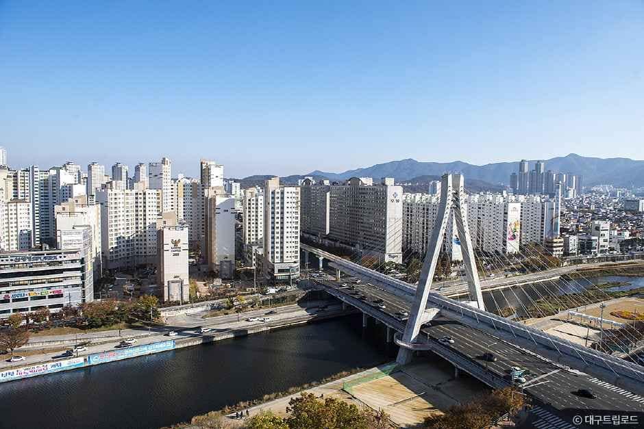 대구_신천 (4).jpg