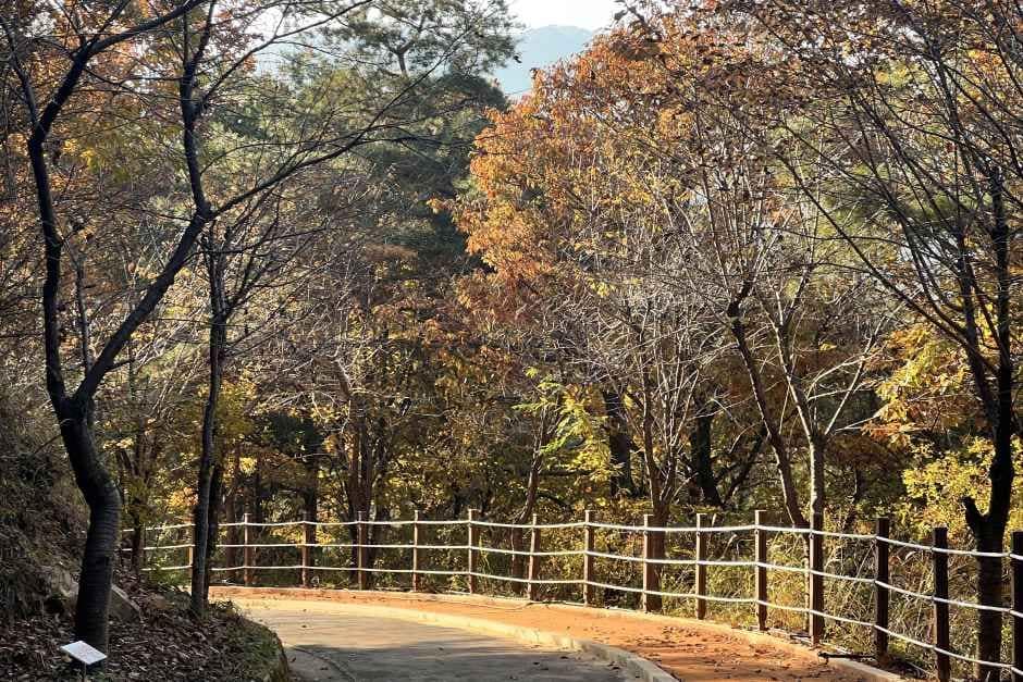상주_성주봉자연휴양림 (8).jpg