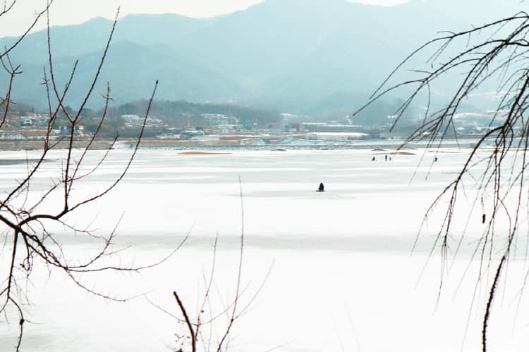충남_천안_시장지_풍경2
