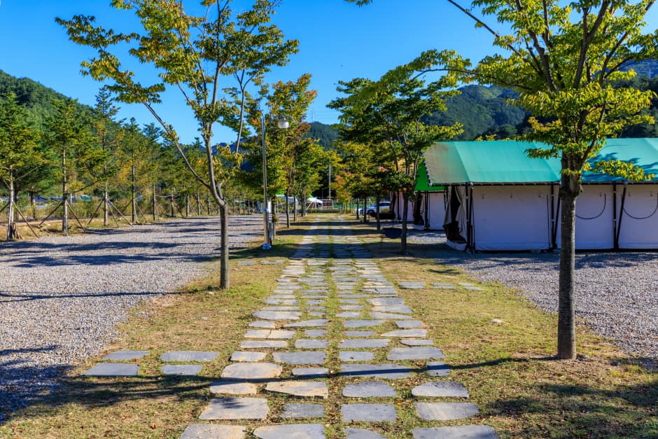 경북_봉화_산타캠핑장_캠핑장7