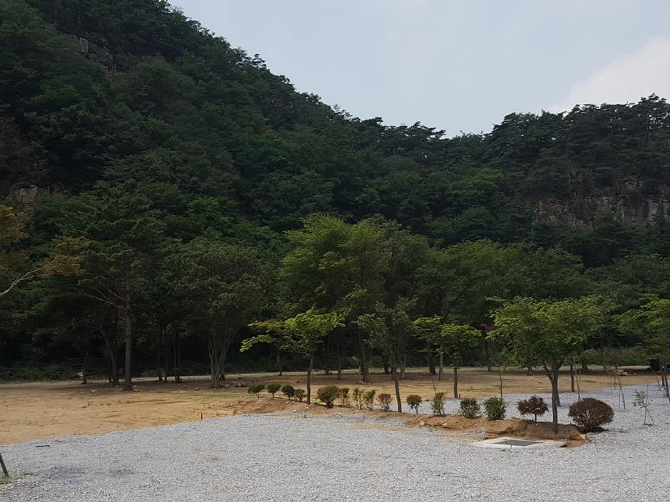 충북_괴산군_솔밭캠프_풍경2