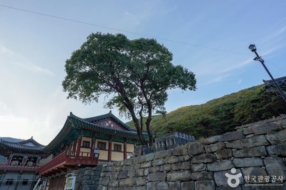경남_창원_의림사 삼층석탑 (1)