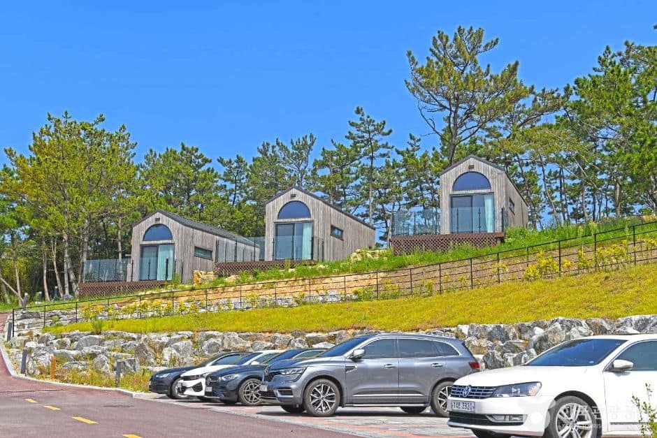 전북_부안_변산반도 생태탐방원 (2)