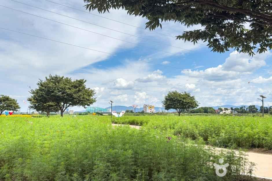 경산_대부잠수교 (8)