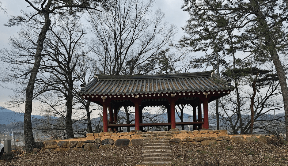 광주_양과동정 (5)