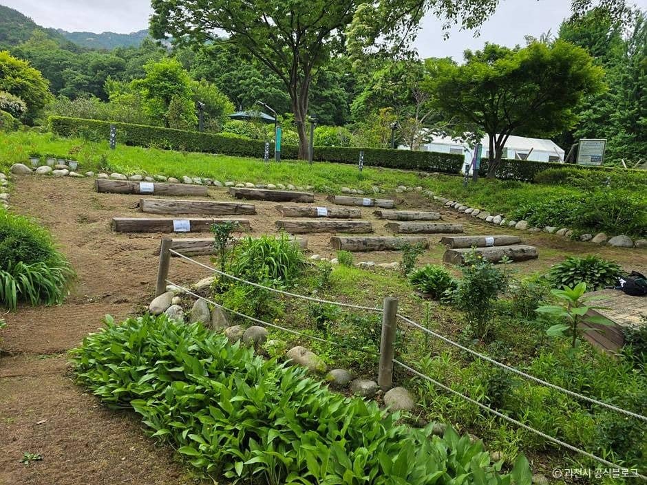과천_과천야생화자연학습장 (6)